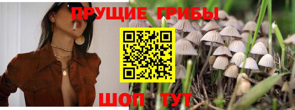 Псилоцибиновые грибы Psilocybe  Вход с VPN  Нижний Новгород 