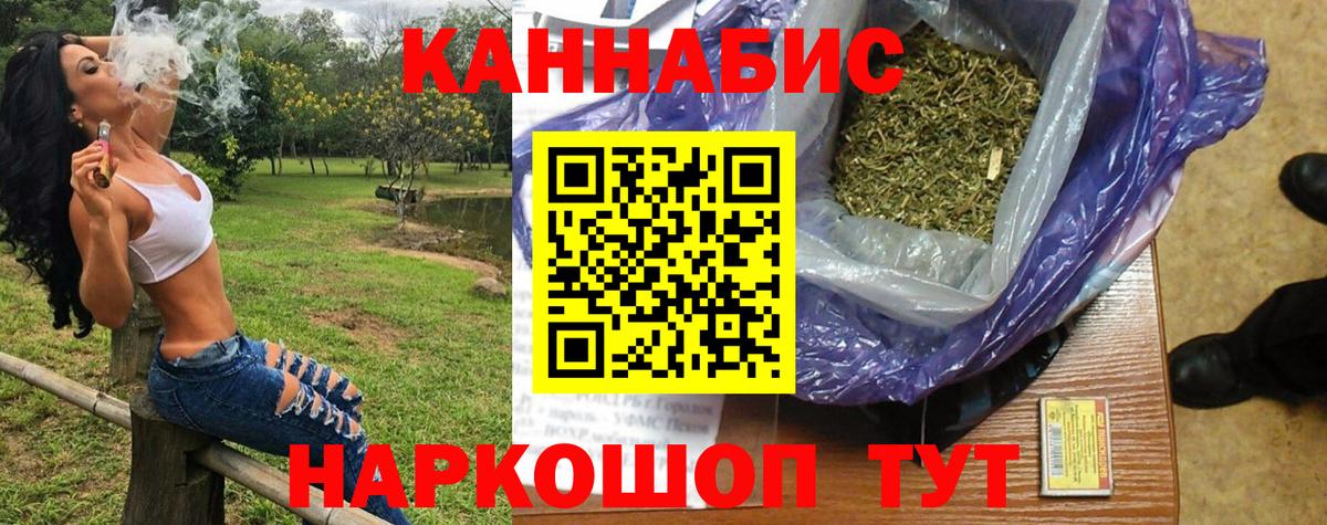 Шишки марихуана сатива Нижний Новгород